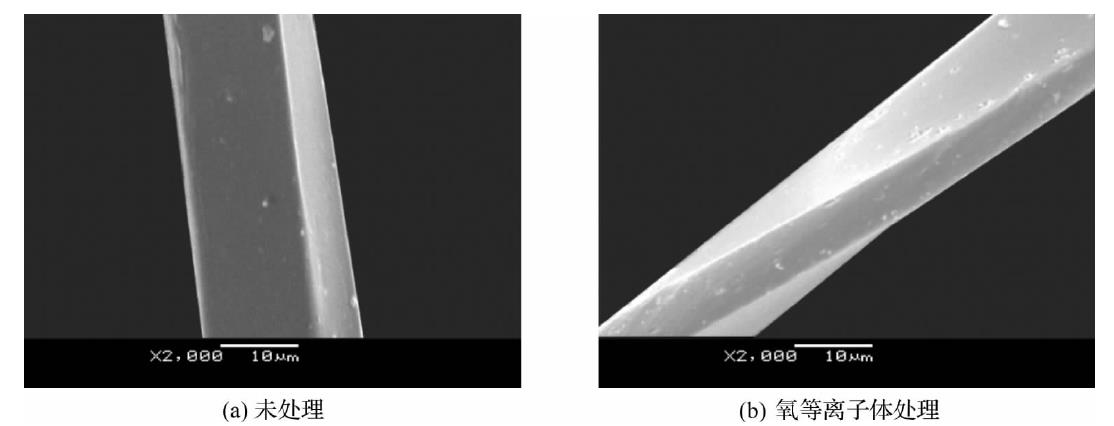 氧等离子体处理前后涤纶纤维表面SEM图
