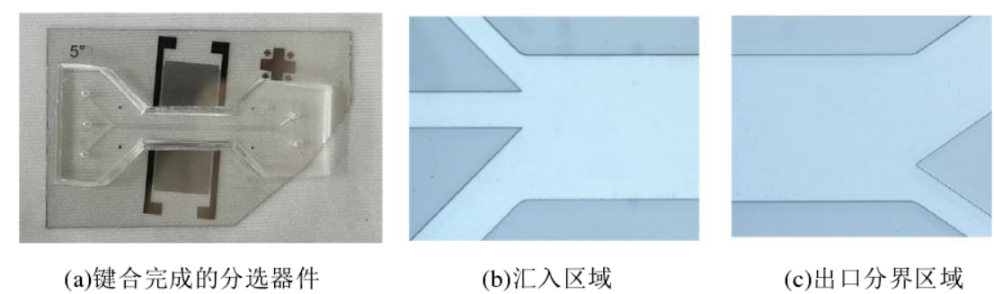 分选器件与管道