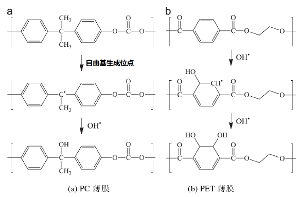 等离子体羟基化示意图